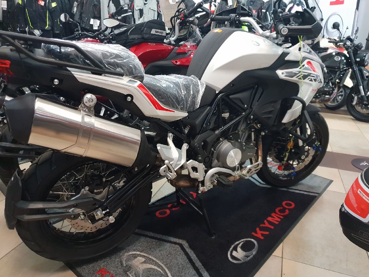 2021 BENELLI TRK 502X (ABS) ROAD - JBFD5278598 - JUST BIKES 2021 BENELLI TRK 502X (ABS) ROAD - JBFD5278598 - JUST BIKES